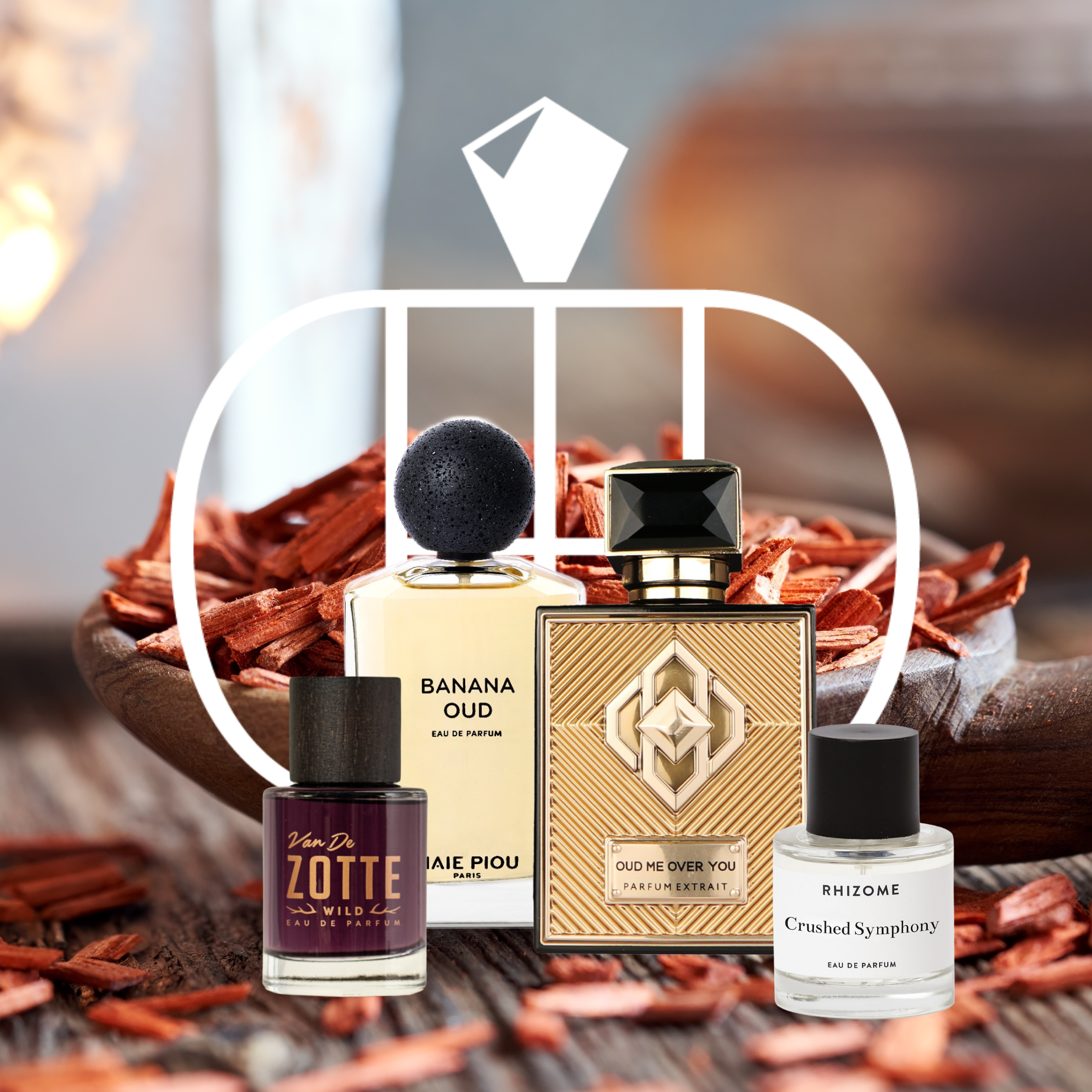 Oud: Das flüssige Gold der Düfte