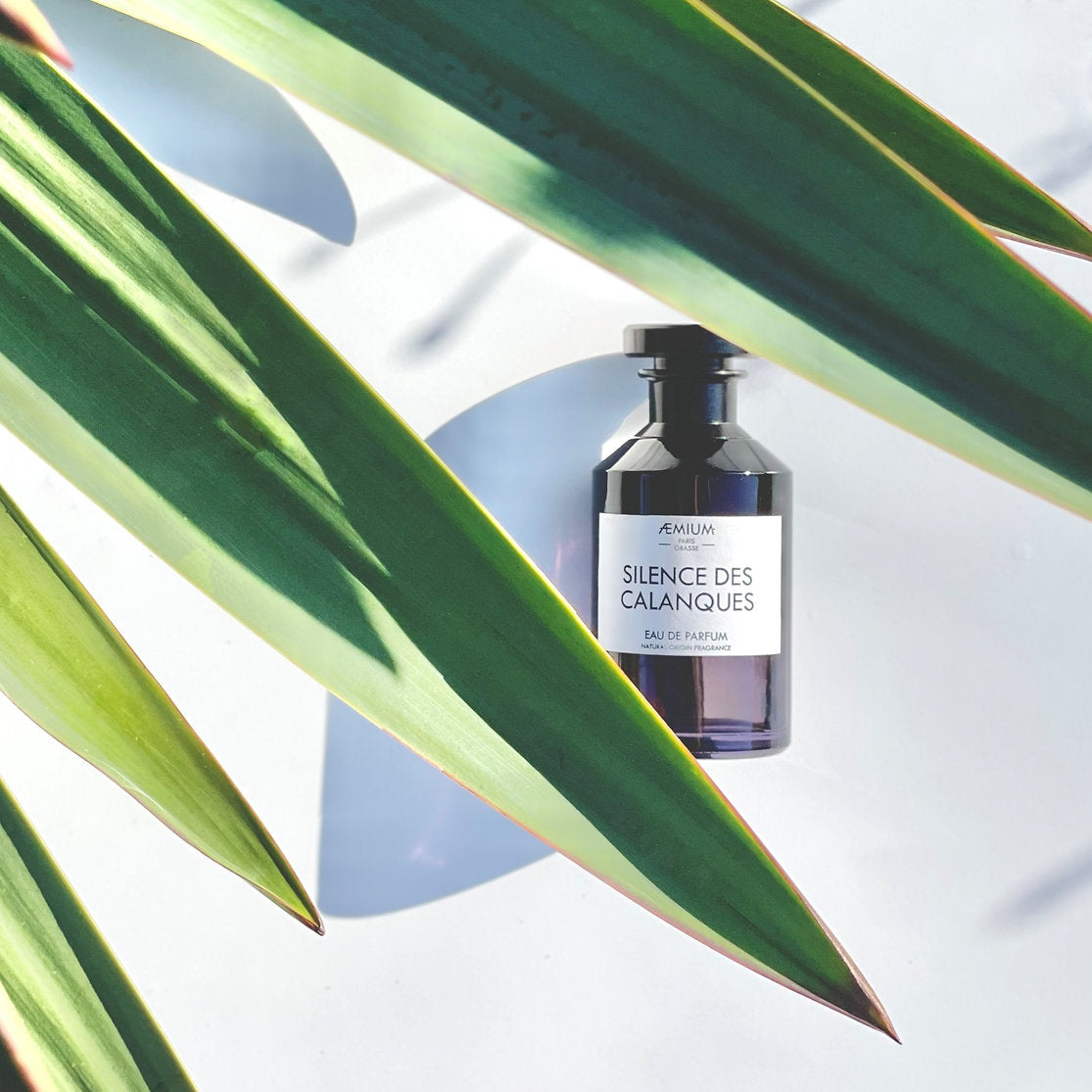 SILENCE DES CALANQUES