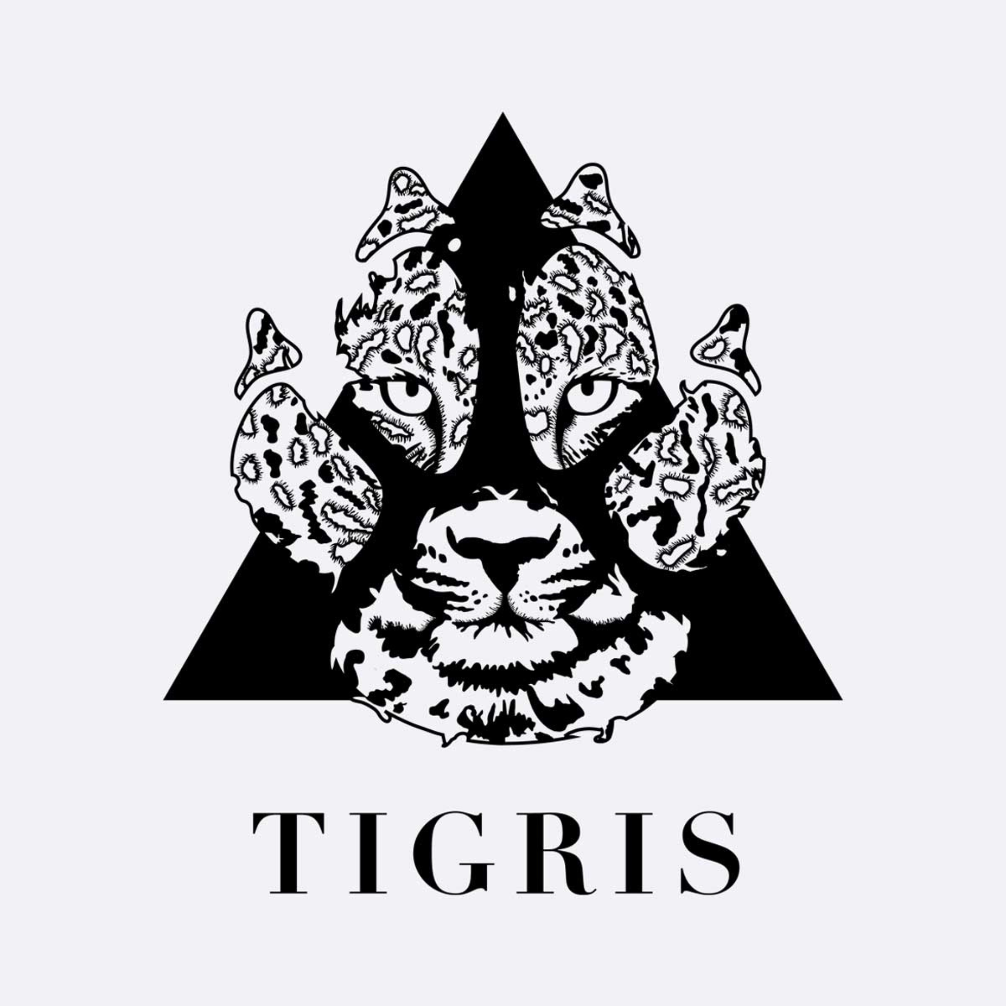 Tigris - Private Collection