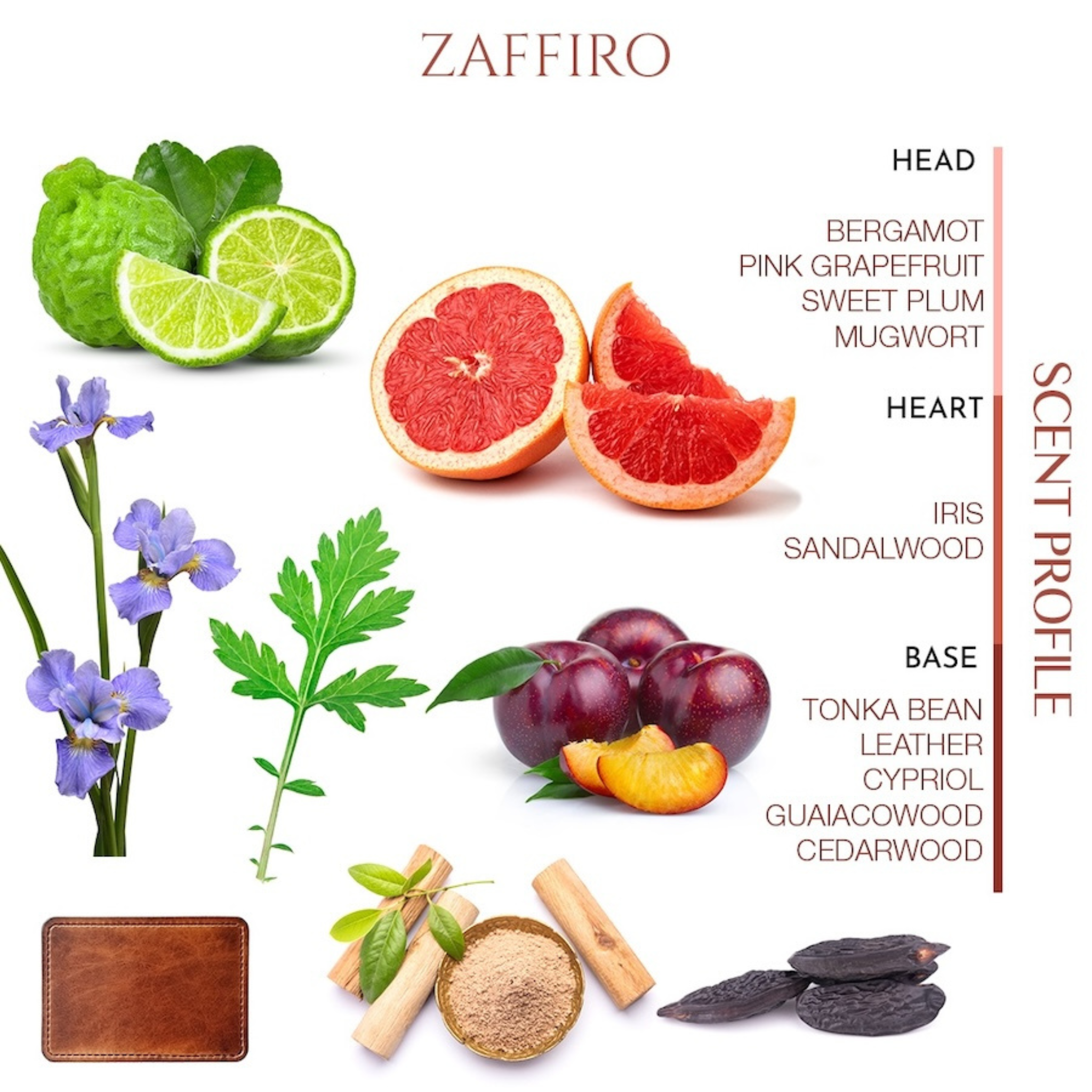 Zaffiro